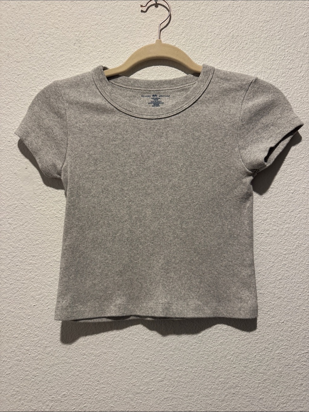 Brandy Melville Heather Gray Cropped Crewneck Tee